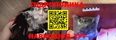 Альфа ПВП Новозыбков