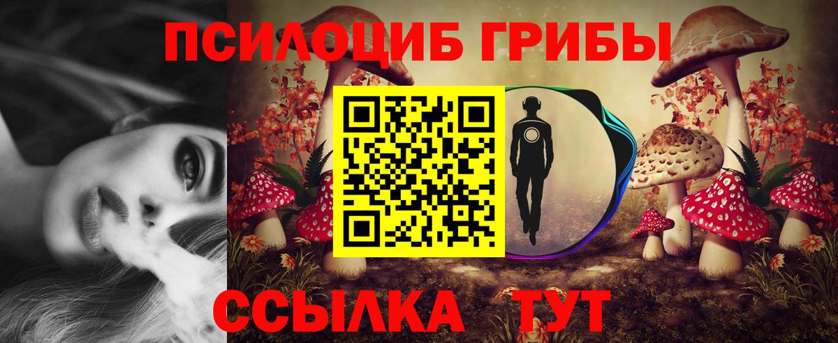 Псилоцибиновые грибы MAGIC MUSHROOMS  Вход с VPN  Нижнекамск 