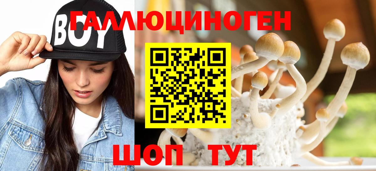 Псилоцибиновые грибы мицелий Нижнекамск